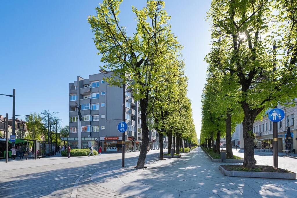Central 2 Bd Apartment By Hostlovers Kaunas Eksteriør billede
